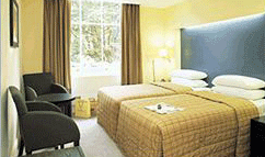 Caesar Hotel London, Hotel Caser London, London Hotels